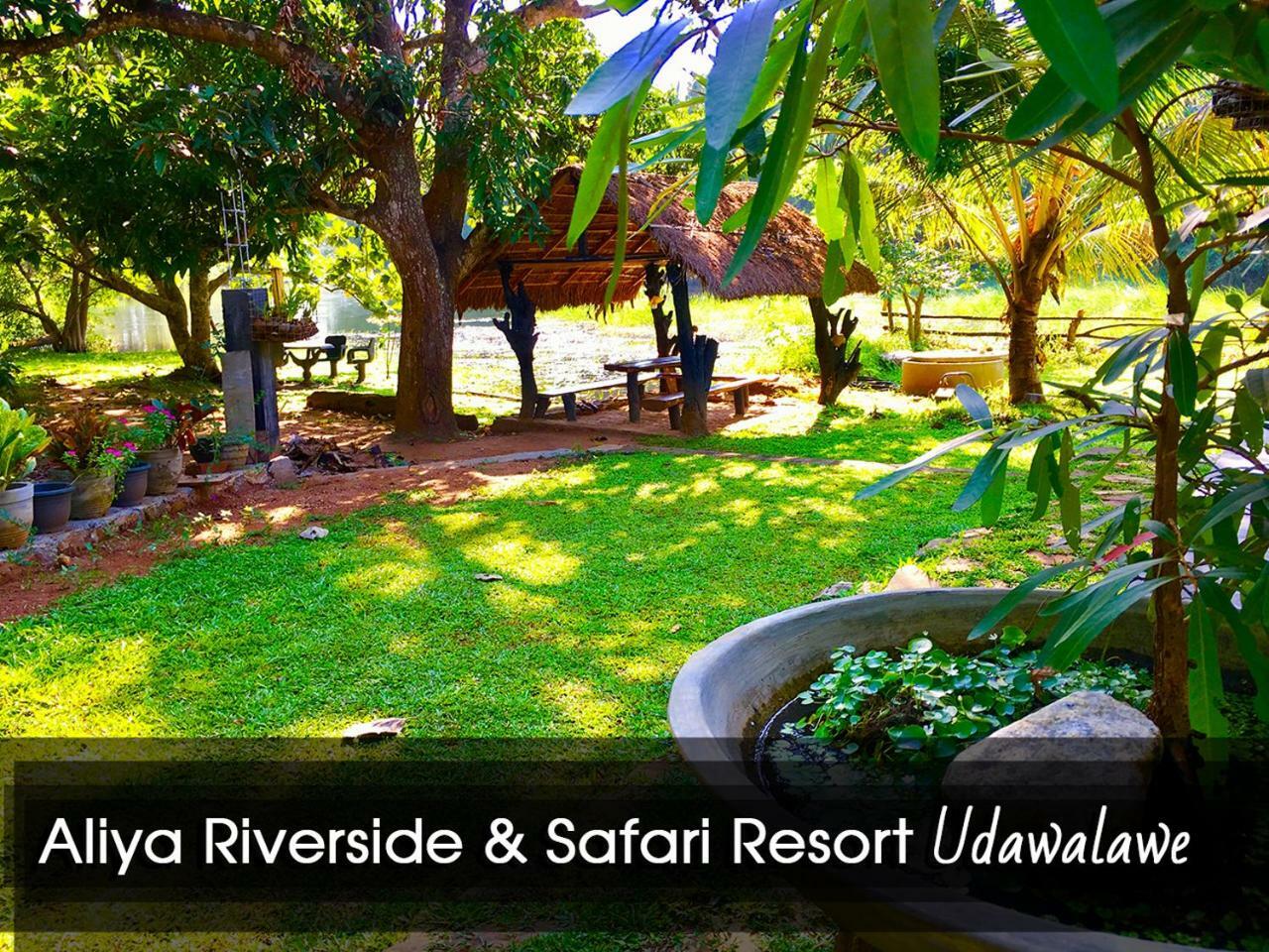 Aliya Riverside & Safari Resort 达瓦拉维 外观 照片