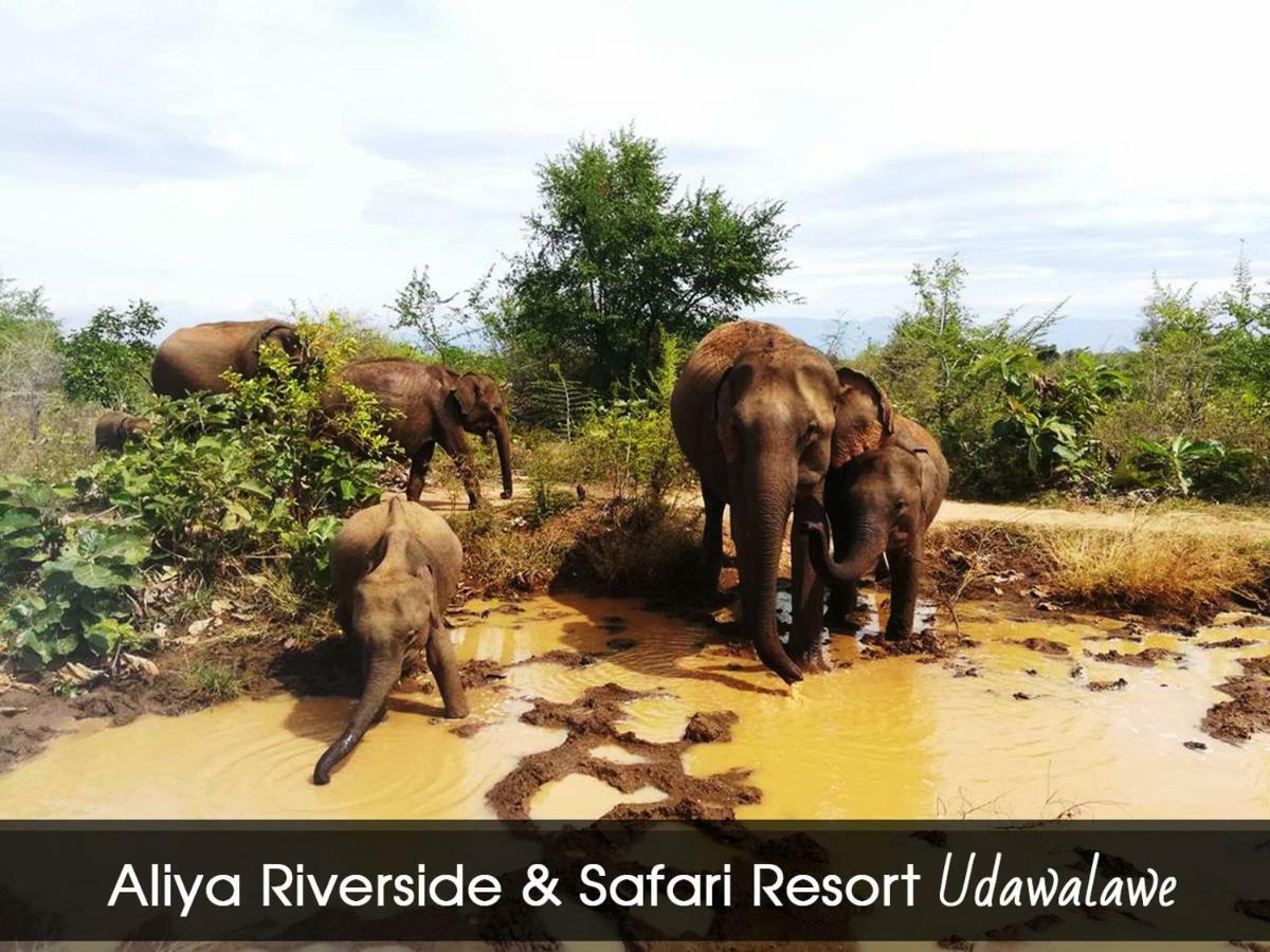 Aliya Riverside & Safari Resort 达瓦拉维 外观 照片